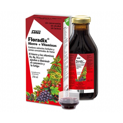 Floradix elixir  1 frasco 250 ml