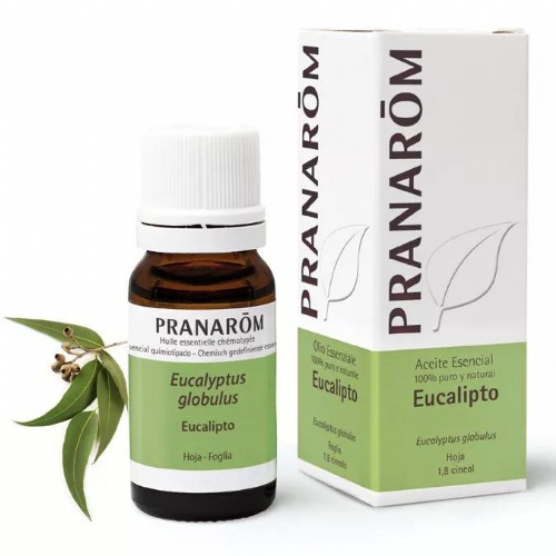 Pranarom aceite esencial eucalyptus globulus 10 ml
