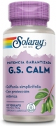 Solaray gs calm 60 caps