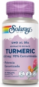 Solaray turmeric 600 mg 30 caps