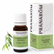 Aceite esencial eucalipto radiata  1 envase 10 ml