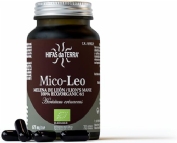Hifas da terra mico-leo+ vit c