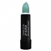 Camaleon lip scrub  1 envase 4 g melon